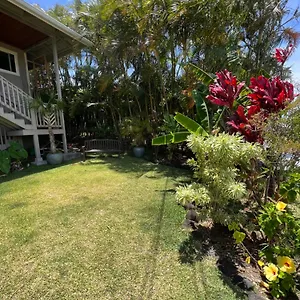 Private Ohana On The Lush Hamakua Coast With Ac , Honokaa United States